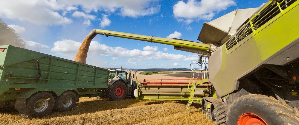 Agribusiness Recruitment and Labour Hire 12