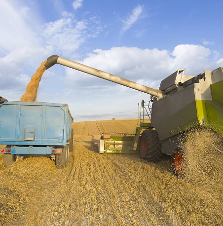 Agribusiness Recruitment and Labour Hire 24
